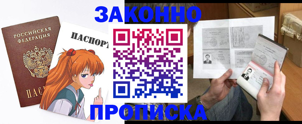 прописка законно в Ногинске